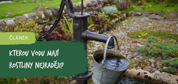 Životodárná Voda: Kterou Mají Rostliny Nejraději?
