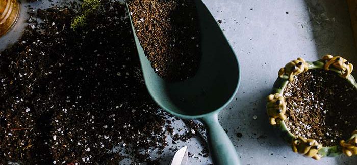 Hnojiva Canna: Profesionální Výživa Pro Vaše Rostliny S Holandskými Kořeny
