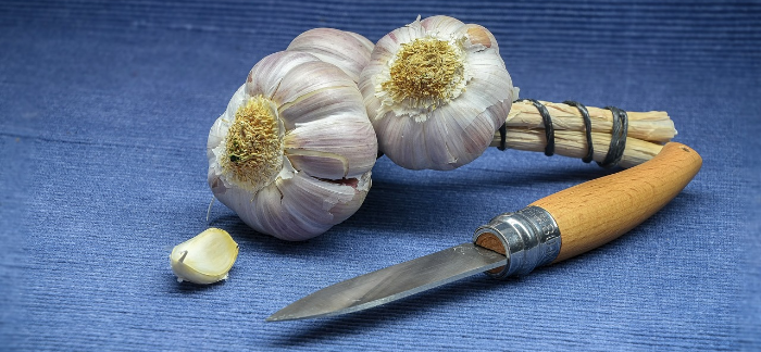 Zapište Si Do Kuchařky: 4 Recepty Na Přírodní Léčiva Z česneku