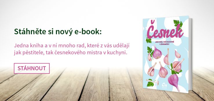 Speciální Zahradnictví Pro Vás Má E-book O česneku.