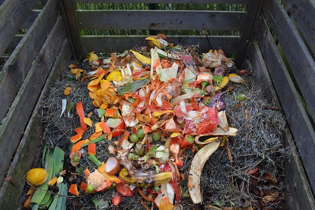 Domácí Kompost